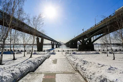 В Новосибирске в ноябре нет снега…» — создано в Шедевруме