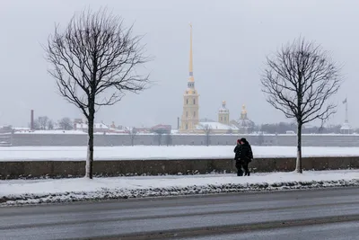 Зимний дворец фото - Зима - Фотографии и путешествия © Андрей Панёвин