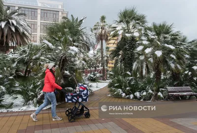 Тепла не будет: Сочи ждет аномально снежная зима