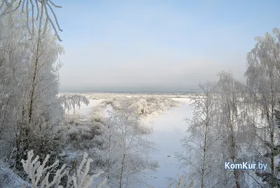 Зима вернулась / весна пришла / смешные картинки и другие приколы: комиксы,  гиф анимация, видео, лучший интеллектуальный юмор.