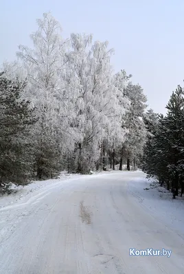 Зима пришла 🥶 реалистичное фото, …» — создано в Шедевруме