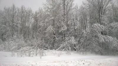 Зима вернулась, ждём ВСЕХ на горе Калита!