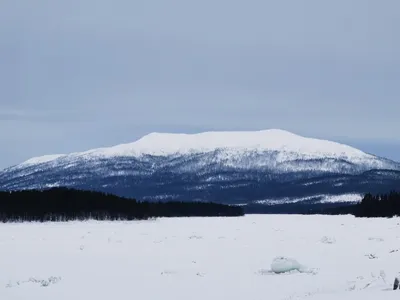 Зима вернулась - МедиаРязань