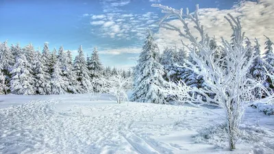 Зима неожиданно вернулась в российские регионы – Россия 1 | ❄Зима вернулась.  Снег выпал сразу в нескольких российских регионах. В Башкирии за сутки  температура упала на 20 градусов. Но есть и приятные