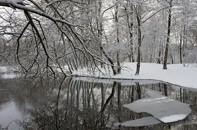 Зима вернулась