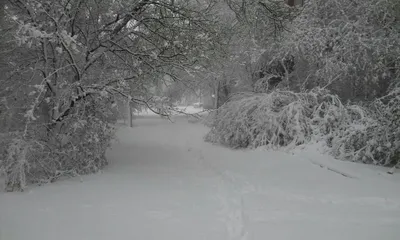 Зима вернулась на улицы Хабаровска | 10.03.2023 | Хабаровск - БезФормата