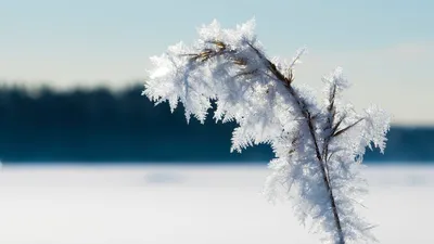 Московский Планетарий - Начало астрономической зимы ❄️⛄️ ⠀ Сегодня в 18:59  по московскому времени произойдет зимнее солнцестояние. Солнце, двигаясь по  эклиптике, в этот момент достигнет самого удалённого положения от небесного  экватора в