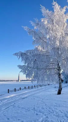 Зимнее утро - ПУШКАРЁВ АРТ-ГАЛЕРЕЯ