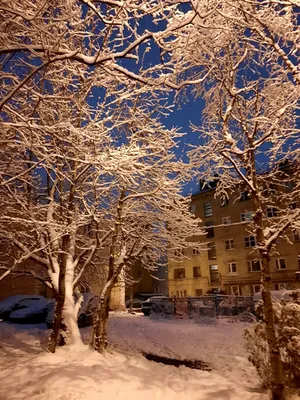 Зимнее утро» — создано в Шедевруме