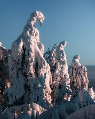 Ледяные горки в Перми. Фотолента | ДОСУГ | АиФ Пермь