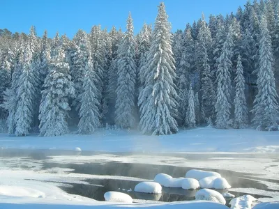 Ель Зимний Лес Видом Горы Прекрасная Зимняя Природа Карпатские Горы  стоковое фото ©YouraPechkin@gmail.com 395216352