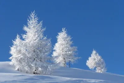 Люблю жизнь и фотографирую | Красивая зимняя природа | Дзен