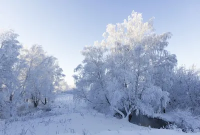 Природа Байкала | Зимняя сказка