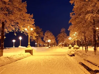 Зимняя Арена | IWphoto.ru