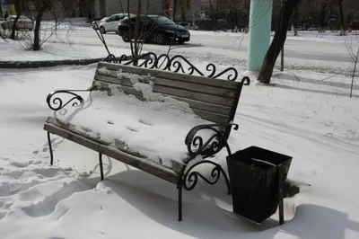 Волшебная зима в Тверской области: жители фотографируют снежные пейзажи |  официальный сайт «Тверские ведомости»