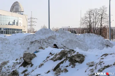 Снежная Уфа: фотографии - 25 октября 2023 - ufa1.ru