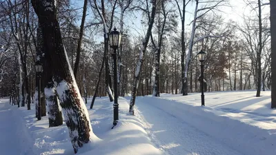 Зима в Уфе, снегопады в Уфе, уборка снега в Уфе, как из-за снега в Уфе  поменяли мэра - 1 марта 2022 - ufa1.ru