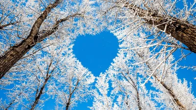 blue-heart-on-the-sky-hd-winter-wallpaper-1366×768 | Pine Bush Area Public  Library