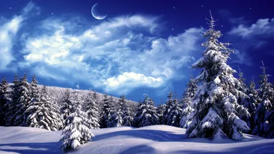 Winter Wallpapers | Best Wallpapers