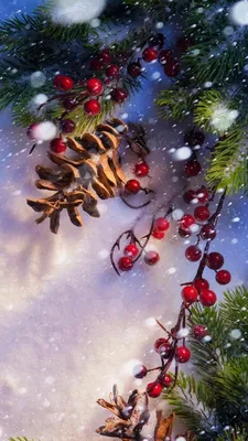 Winter Aesthetic Wallpapers For Phone : Winter Wonderland I Take You |  Wedding Readings | Wedding Ideas | Wedding Dresses | Wedding Theme