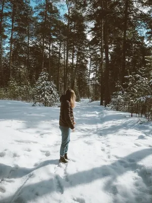 Девушка ловит снежинки | Зимняя семейная фотография, Фотосессия, Мода