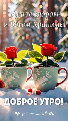 Открытки с поздравлениями! Картинка открытка с пожеланиями доброго зимнего  утра, зима доброе утро!