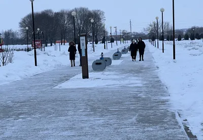 Красивые старые советские новогодние открытки с людьми и животными