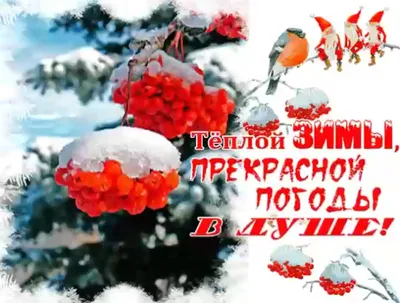 С воскресным морозным утром - 86 фото