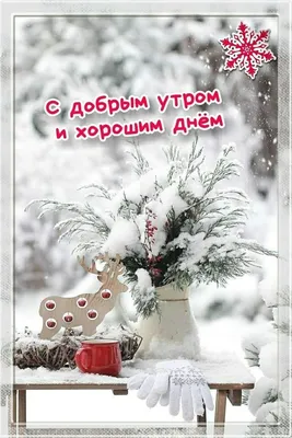 Доброе утро картинки зимние стильные с пожеланиями - 67 фото