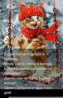 Pin by Наташенька on Зимнего Доброго Утра | Day wishes, Funny pictures,  Postcard