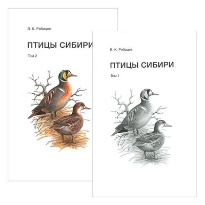 Книга Птицы Сибири - купить в интернет-магазинах, цены на Мегамаркет |  6754737