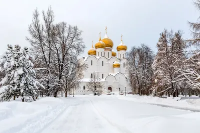 Зимний Ярославль | Serge_molodets | Дзен