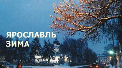 Ярославль полностью украсят к Новому году до 15 декабря- Яррег - новости  Ярославской области