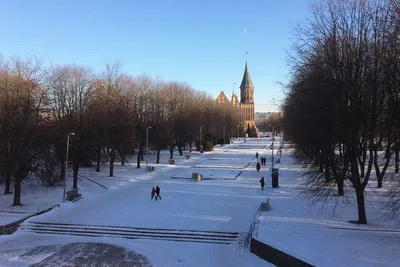 Какой будет погода в Калининграде в первые выходные января — РБК