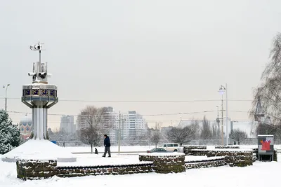 Зимний Калининград, 2012. Прусский кот и птички, городская архитектура.