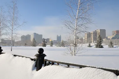 Зимний Новосибирск — 2019» в блоге «Города и сёла России» - Сделано у нас