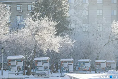 Зимний Новосибирск — 2019» в блоге «Города и сёла России» - Сделано у нас