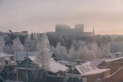 Сургут - Автор фото @alexandr_kostyunin ・・・ .... и заключительная  фотография начала зимы в Сургуте 2020, с максимально простой композицией,  но максимально заснеженной. . . . #сургут #surgut #пейзаж #фотографвсургуте  | Facebook
