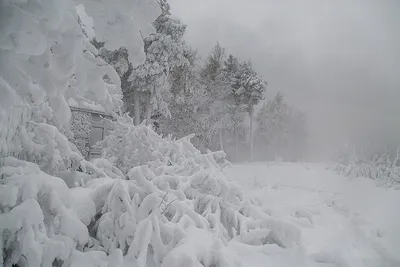 Ханты Мансийск зимой (90 фото) - 90 фото