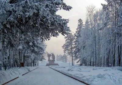Зимой 2022 года насмерть замерзли почти 80 томичей | ПРОИСШЕСТВИЯ | АиФ  Томск