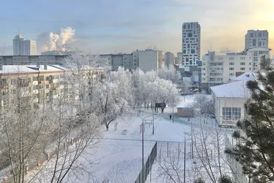 Зимний вид из окна: 20 фото для создания новогоднего настроения