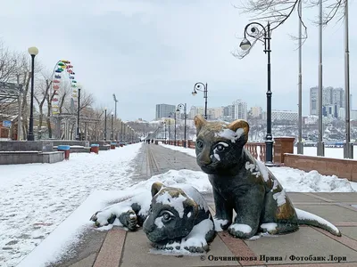 Владивосток вошел в топ-10 городов, куда хотели бы переехать россияне на  «зимовку»