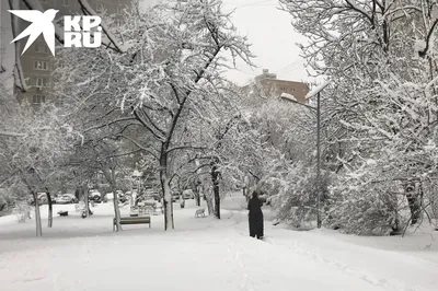 Топ мест Владивосток Зимой