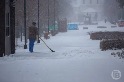 Погода и климат Волгограда