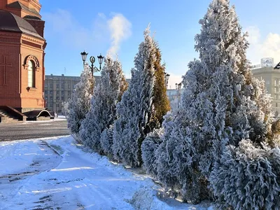 Волгоград вошёл в топ российских городов для отдыха на зимних каникулах