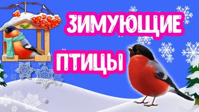 Зимующие птицы (Много фото!) - treepics.ru