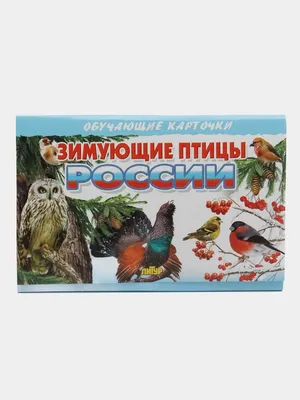 Картинки демонстрационные \"Зимующие птицы\" 63*87мм 16 карточек - Элимканц