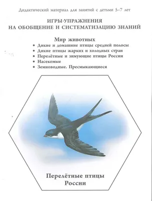 Зима.Зимующие птицы”.группа 16 | Детский сад №31