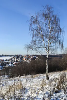 Зимушка - зима , зима снежная была…» — создано в Шедевруме