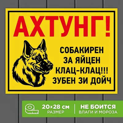 тд № 002 » Злюкен « — Сувенирная продукция из Алтайского кедра